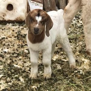 Meet your Posher, Eileen